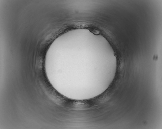 X0000110930315200907091527
