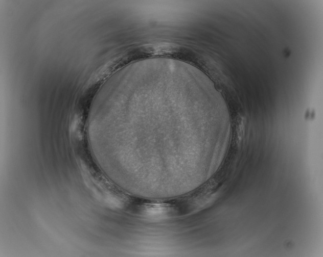 X0000110930316200907091527