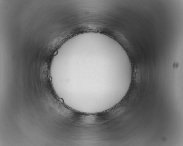 X0000110930318200907091527