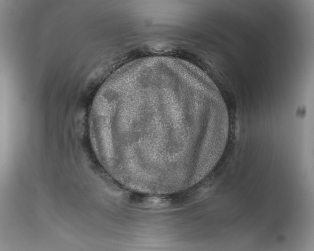 X0000110930319200907091527