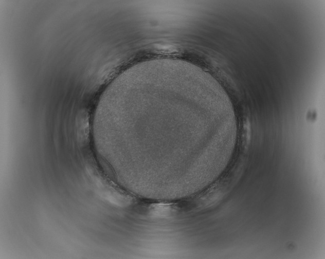 X0000110930320200907091527