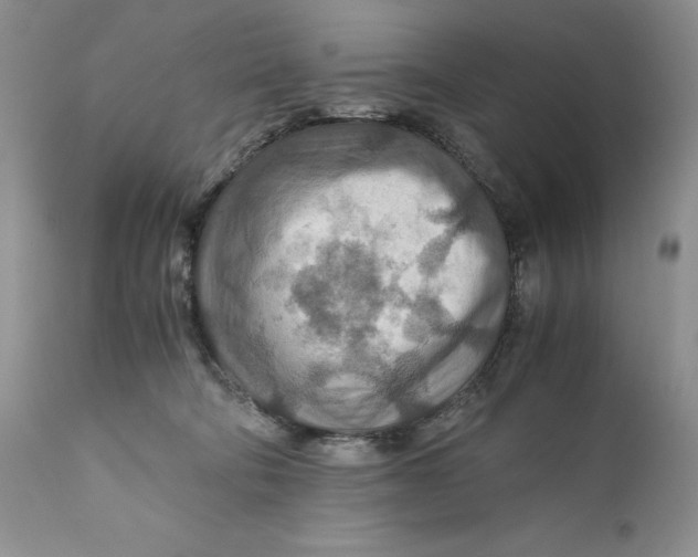 X0000110930322200907091527