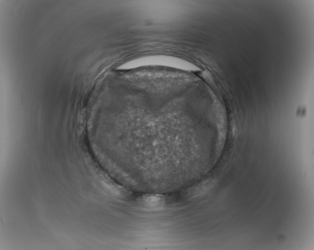 X0000110930325200907091527