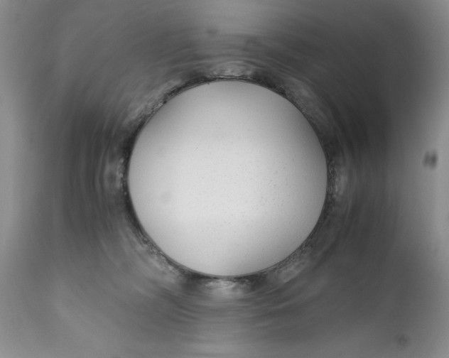 X0000110930326200907091527