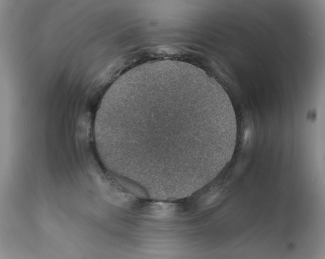 X0000110930328200907091527