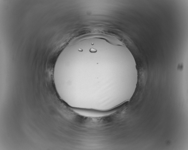 X0000110930329200907091527