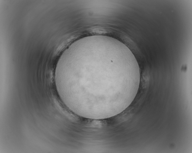 X0000110930330200907091527