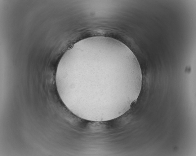 X0000110930331200907091527