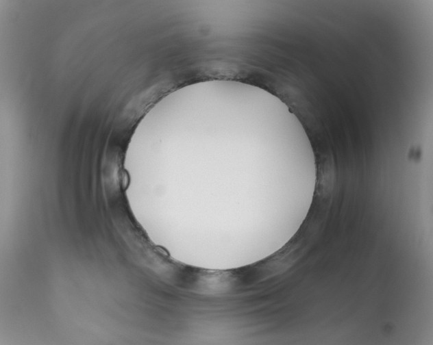 X0000110930334200907091527