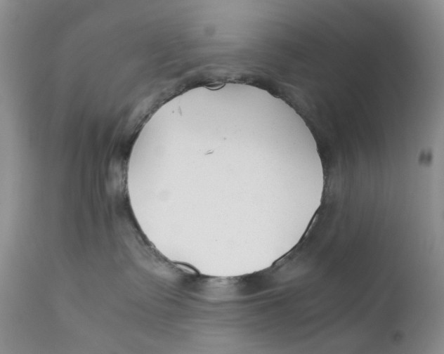 X0000110930335200907091527