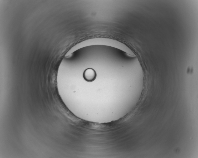 X0000110930336200907091527