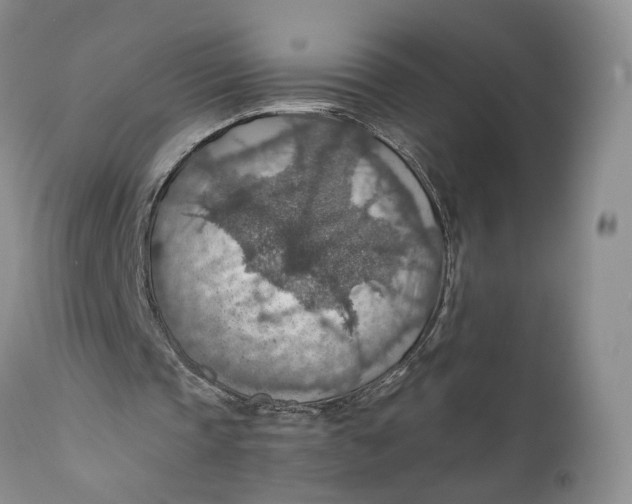 X0000110930337200907091526