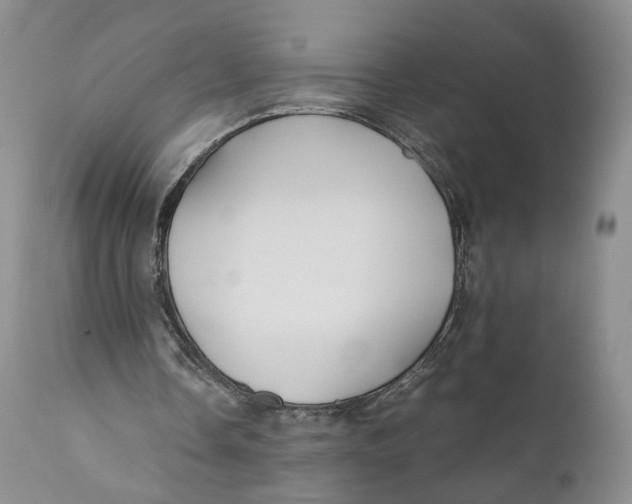 X0000110930338200907091526