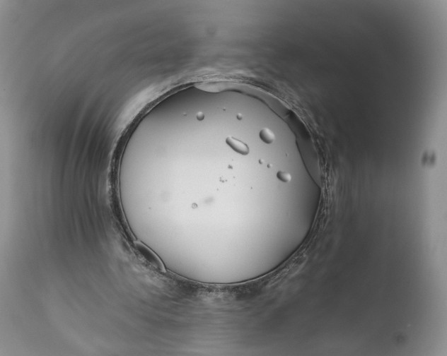 X0000110930340200907091526