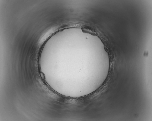 X0000110930341200907091526