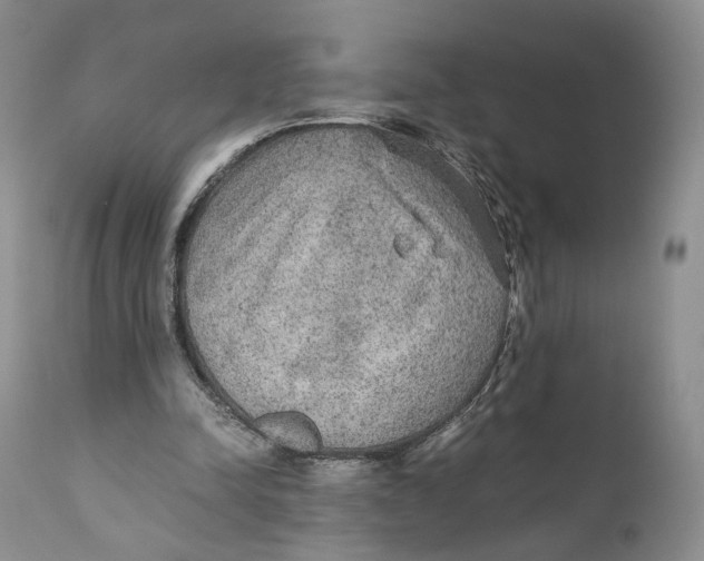 X0000110930342200907091526