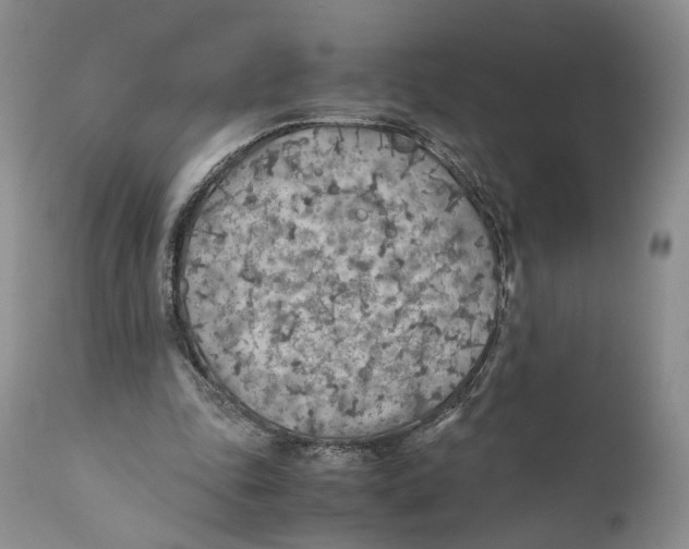 X0000110930343200907091526