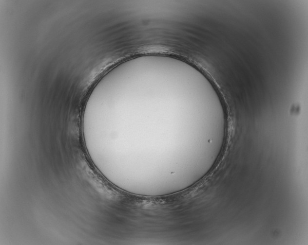 X0000110930345200907091526