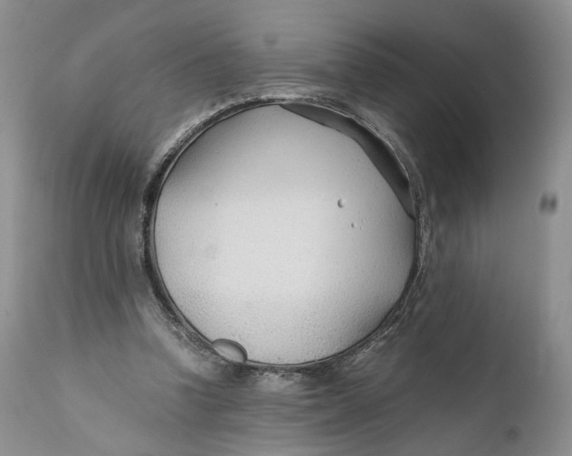 X0000110930346200907091526