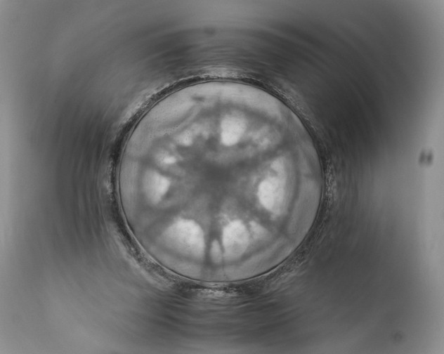 X0000110930347200907091526