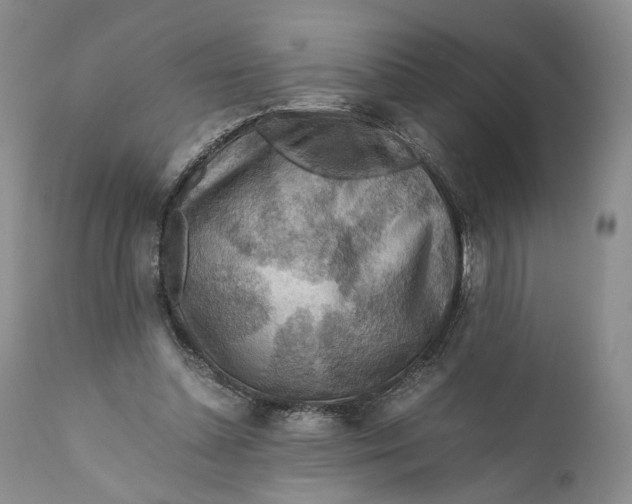 X0000110930348200907091526