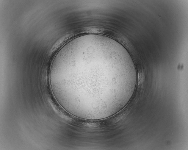X0000110930349200907091526