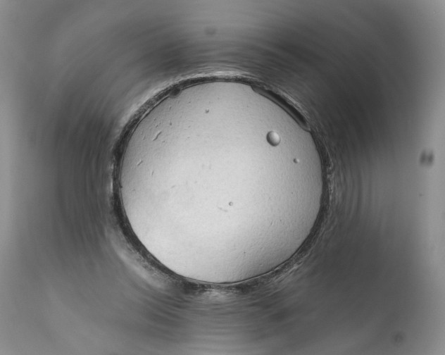 X0000110930350200907091526