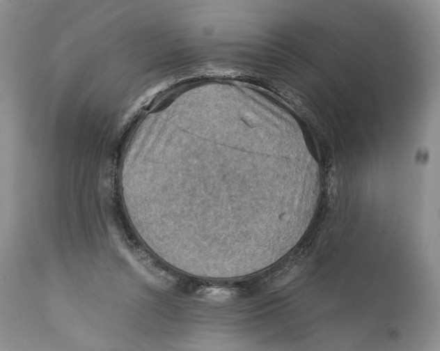 X0000110930352200907091526