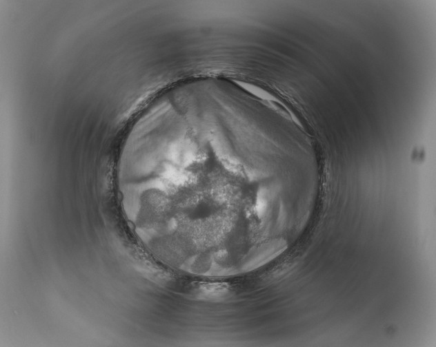 X0000110930355200907091526