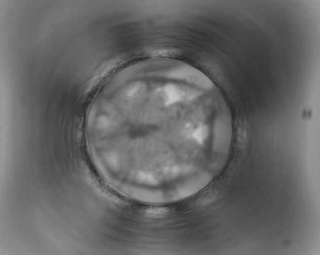 X0000110930357200907091526