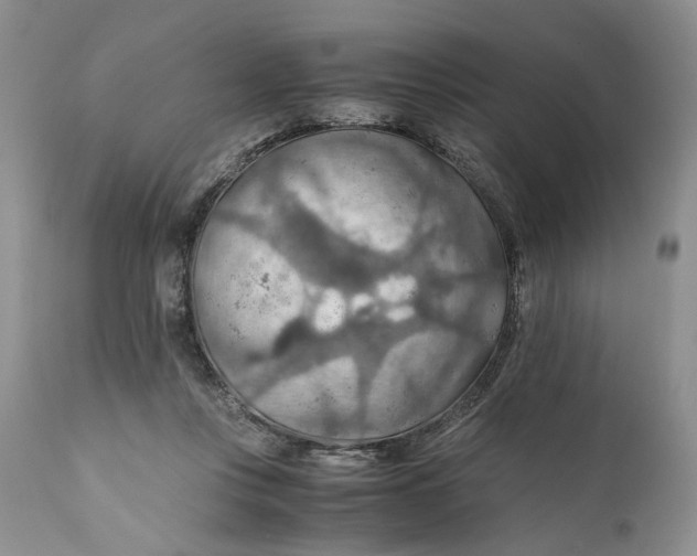 X0000110930359200907091526