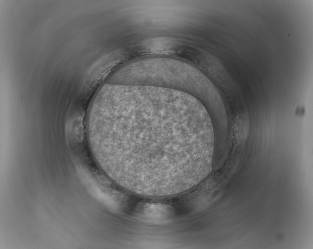 X0000110930360200907091526