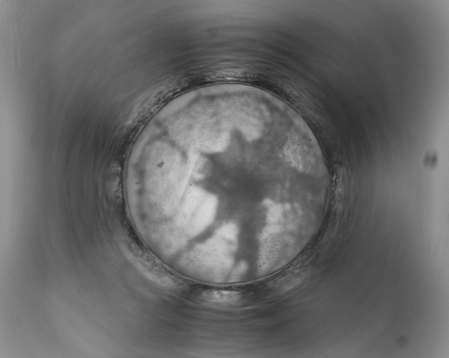 X0000110930361200907091526