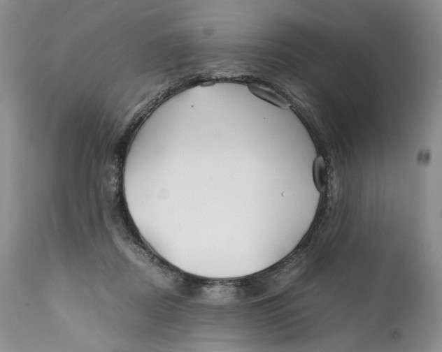 X0000110930362200907091526