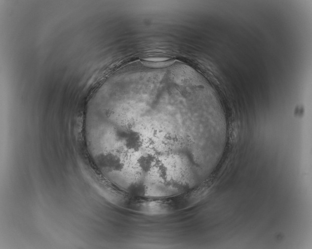 X0000110930365200907091526