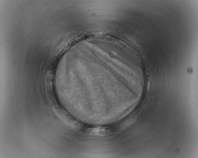 X0000110930366200907091526