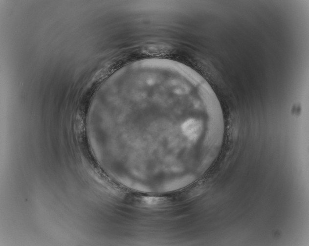 X0000110930371200907091527