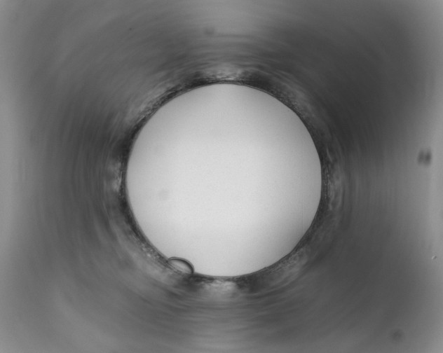 X0000110930374200907091527