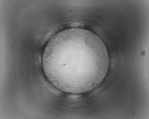 X0000110930375200907091527