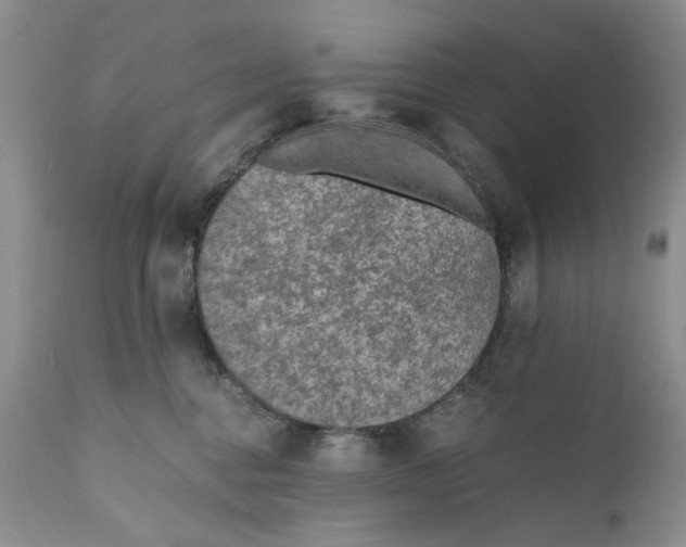 X0000110930376200907091527