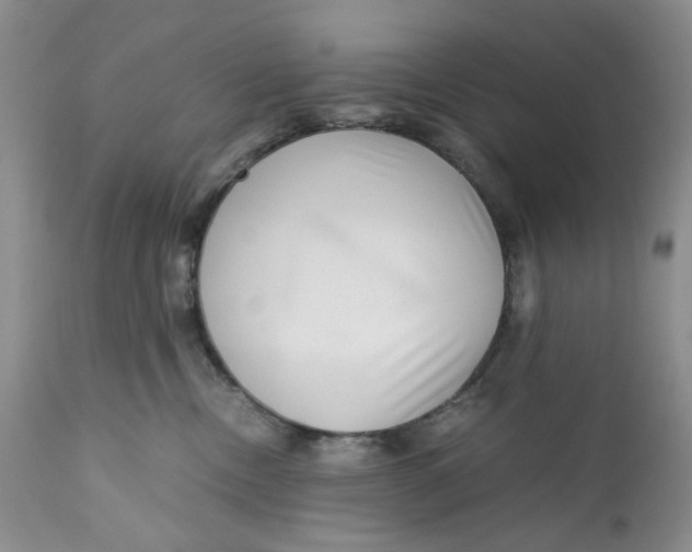 X0000110930378200907091527