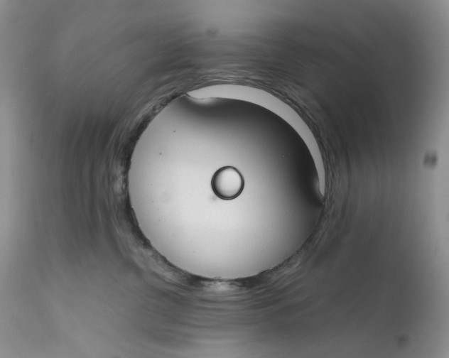 X0000110930380200907091527