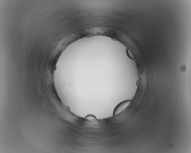 X0000110930381200907091527