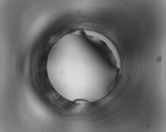 X0000110930382200907091527
