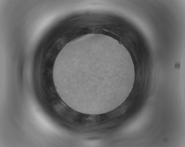 X0000110930383200907091527