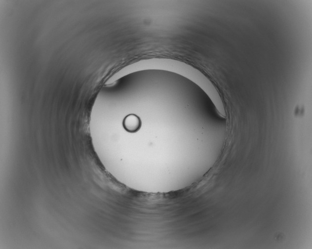 X0000110930384200907091527