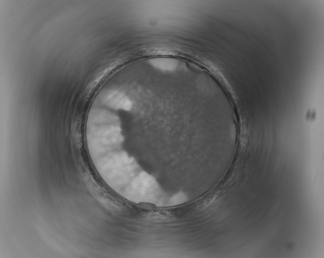 X0000110930386200907091526