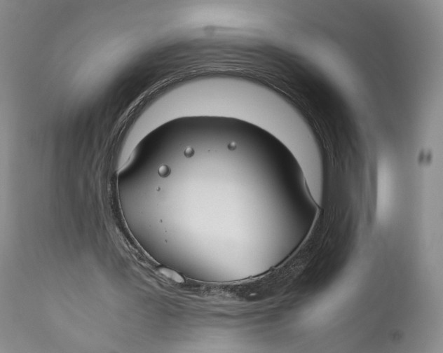 X0000110930387200907091526