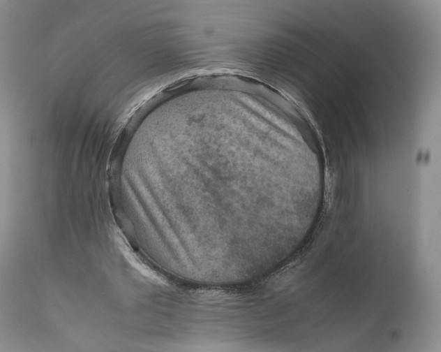 X0000110930389200907091526