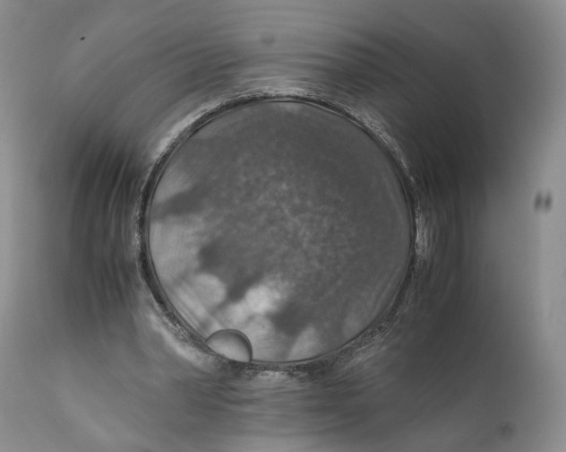 X0000110930390200907091526